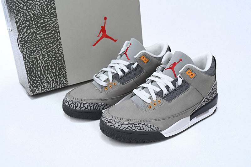 Air Jordan 3 "Cool Grey"