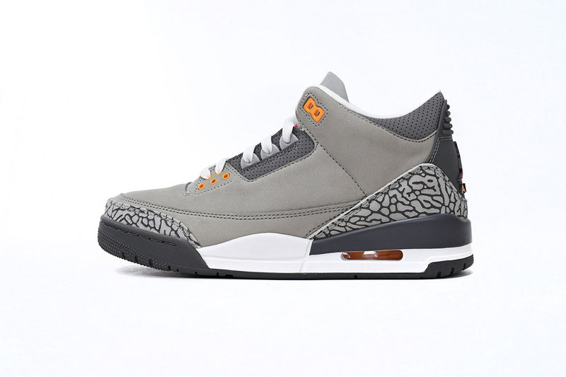 Air Jordan 3 "Cool Grey"