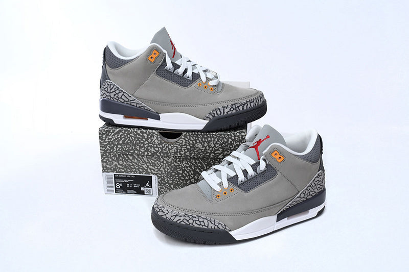 Air Jordan 3 "Cool Grey"