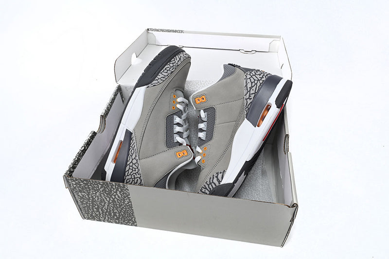 Air Jordan 3 "Cool Grey"