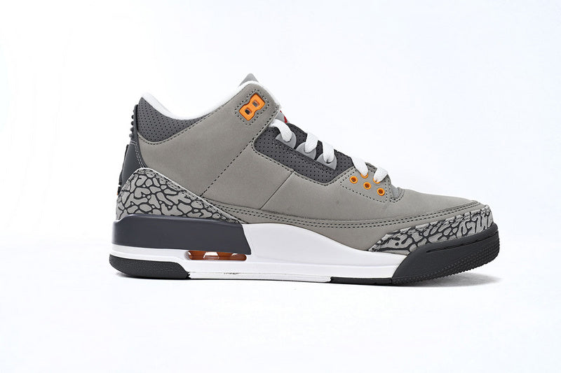 Air Jordan 3 "Cool Grey"